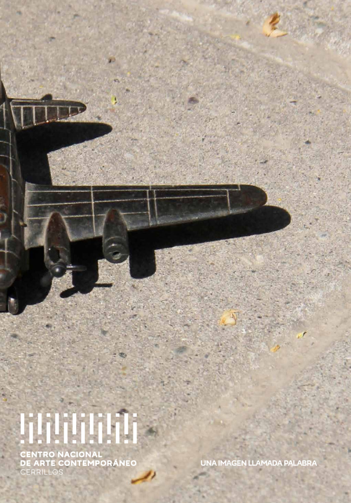 Una imagen llamada palabra