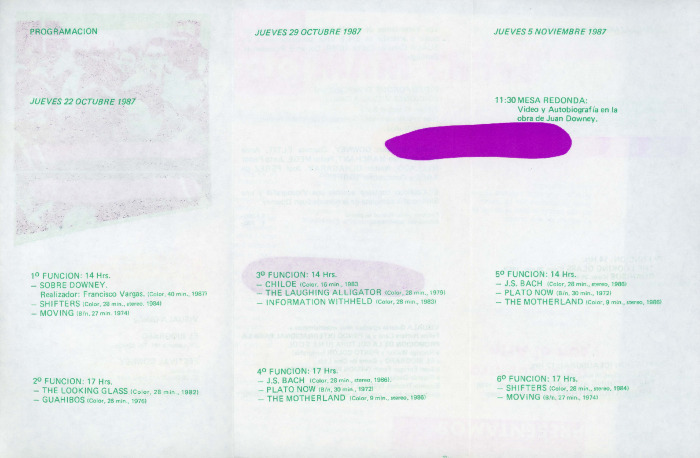 Festival Juan Downey