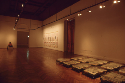 Campos de Hielo. Arte Joven en Chile (1986-1996)