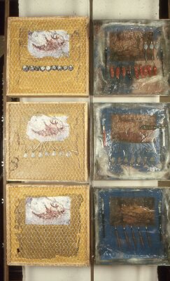 Memoria Recolectora  II